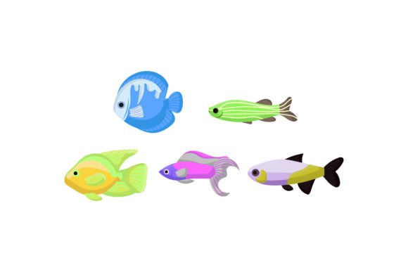 Decorative Fish Graphics and Illustrations