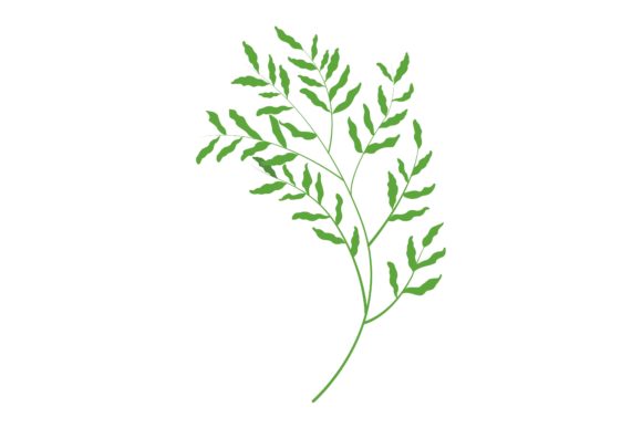 Decorative Green Leaf Illustration Graphics