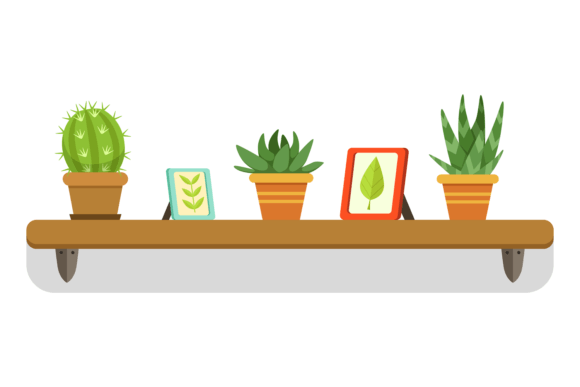 Decorative Wall Shelf with Succulents Po